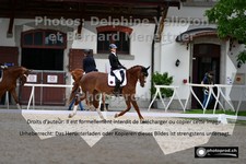 ref. photo 3225096