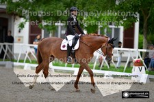 ref. photo 3225103