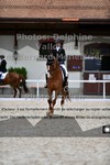 ref. photo 3225108