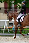 ref. photo 3225124