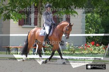 ref. photo 3225130