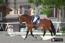 ref. photo 3225133