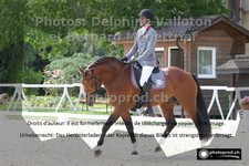 ref. photo 3225134
