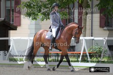 ref. photo 3225135