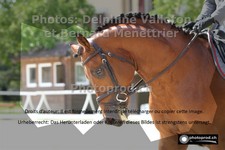 ref. photo 3225136
