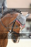 ref. photo 3225144