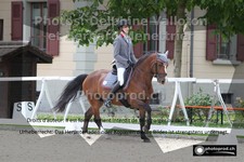 ref. photo 3225146
