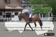 ref. photo 3225151