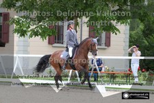 ref. photo 3225154