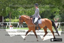 ref. photo 3225164