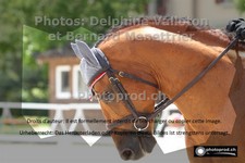 ref. photo 3225167