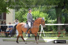 ref. photo 3225174