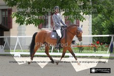 ref. photo 3225187