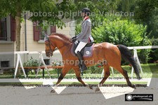 ref. photo 3225190