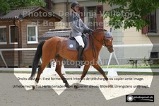 ref. photo 3225193