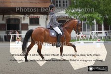 ref. photo 3225197