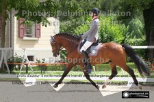 ref. photo 3225201