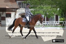 ref. photo 3225203