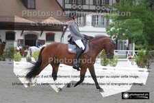 ref. photo 3225216