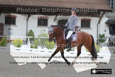 ref. photo 3225218