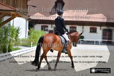 ref. photo 3225260