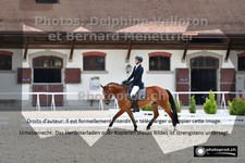 ref. photo 3225266