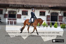 ref. photo 3225268