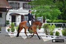 ref. photo 3225270