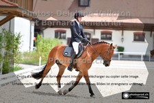 ref. photo 3225277