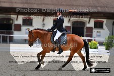 ref. photo 3225284