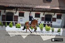 ref. photo 3225289