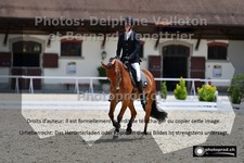 ref. photo 3225295