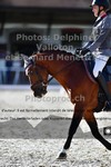ref. photo 3225315