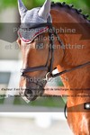 ref. photo 3225328