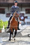 ref. photo 3225334