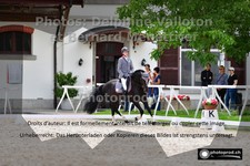 ref. photo 3225376