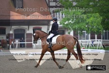 ref. photo 3225431