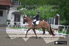 ref. photo 3225433