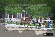 ref. photo 3225434
