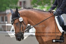 ref. photo 3225444