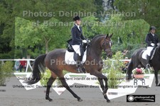 ref. photo 3225504