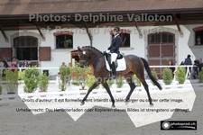 ref. photo 3225519
