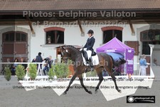 ref. photo 3225523