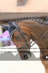 ref. photo 3225565