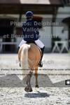 ref. photo 3225586