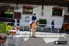 ref. photo 3225588
