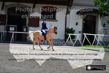 ref. photo 3225613