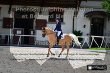 ref. photo 3225615