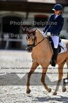 ref. photo 3225621