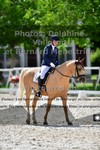 ref. photo 3225628